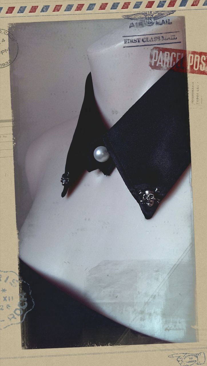 Black Collar with Skull Insignia