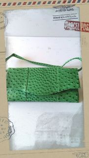 Ostrich Evening Bag